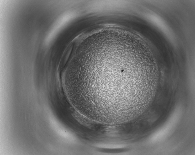 X0000067871198200604131228