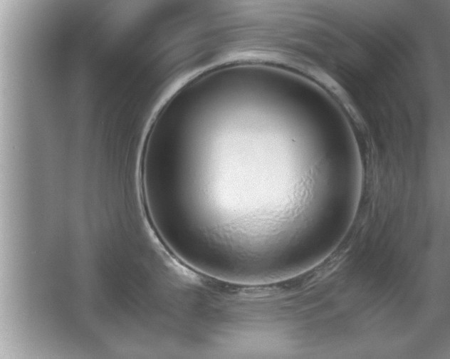 X0000067871199200604131228