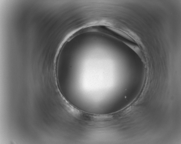 X0000067871200200604131228