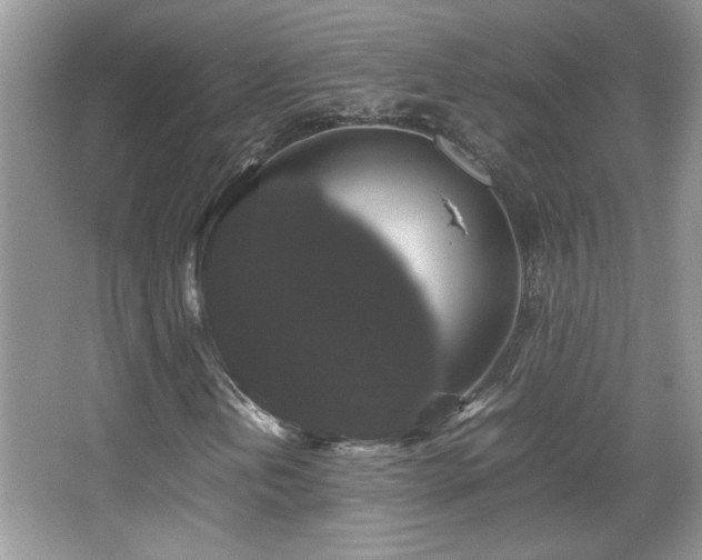 X0000067871202200604131227