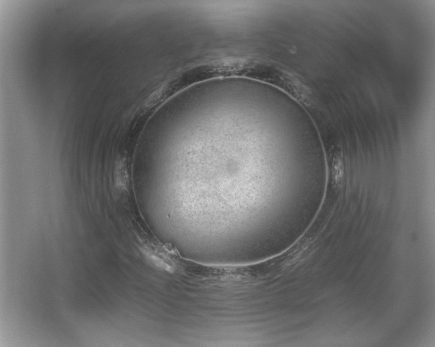 X0000067871204200604131227