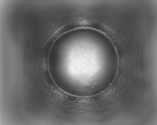 X0000067871205200604131227