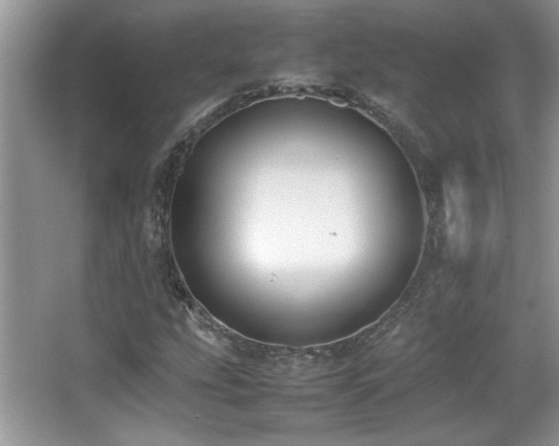 X0000067871207200604131227