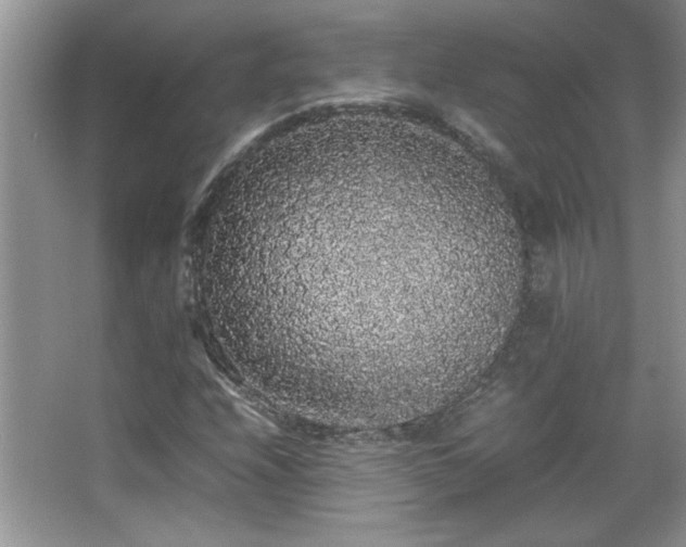 X0000067871208200604131227