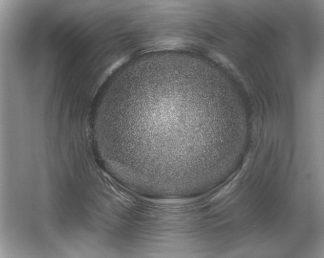 X0000067871210200604131227