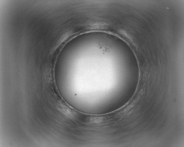 X0000067871211200604131227