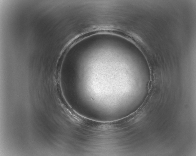 X0000067871212200604131227