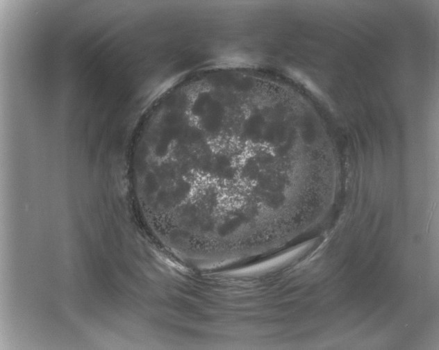 X0000067871213200604131227