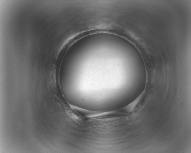 X0000067871214200604131227