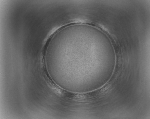 X0000067871215200604131227