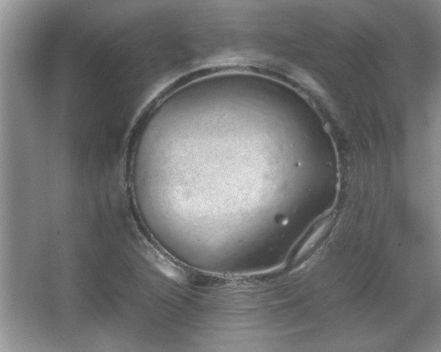 X0000067871216200604131227