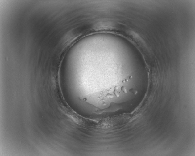 X0000067871217200604131227