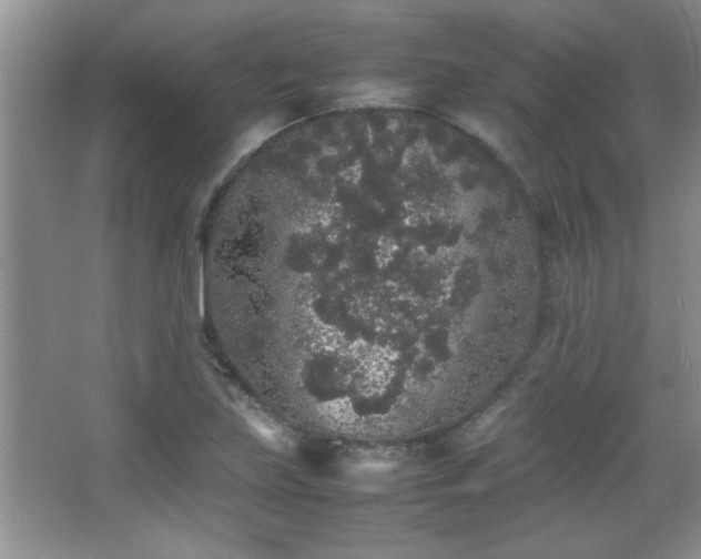 X0000067871219200604131227