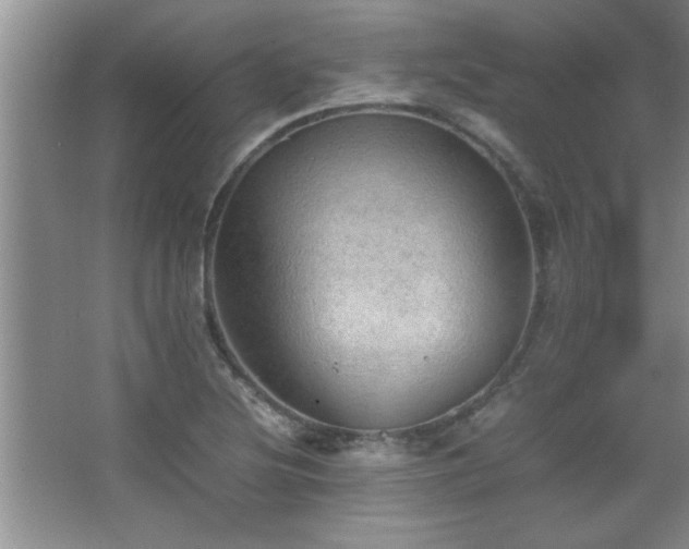 X0000067871220200604131227