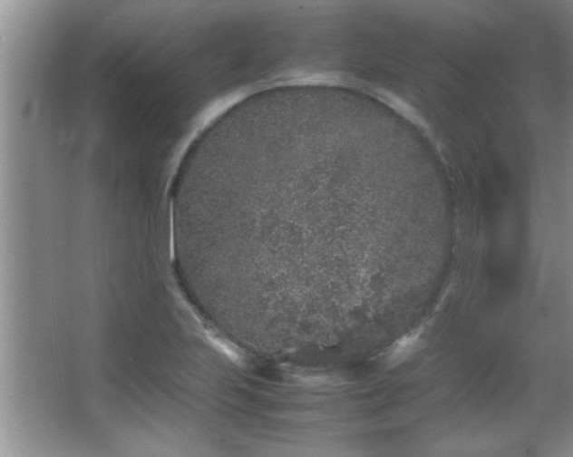 X0000067871223200604131227