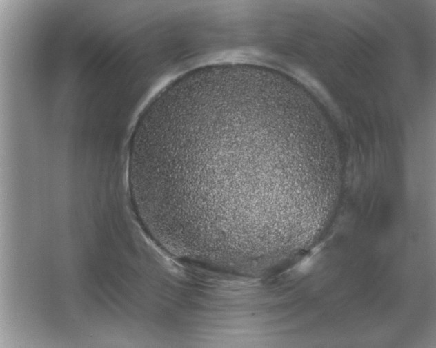 X0000067871224200604131227