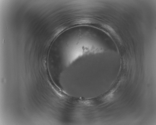 X0000067871225200604131227