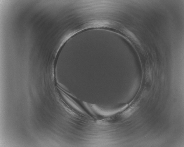 X0000067871226200604131227