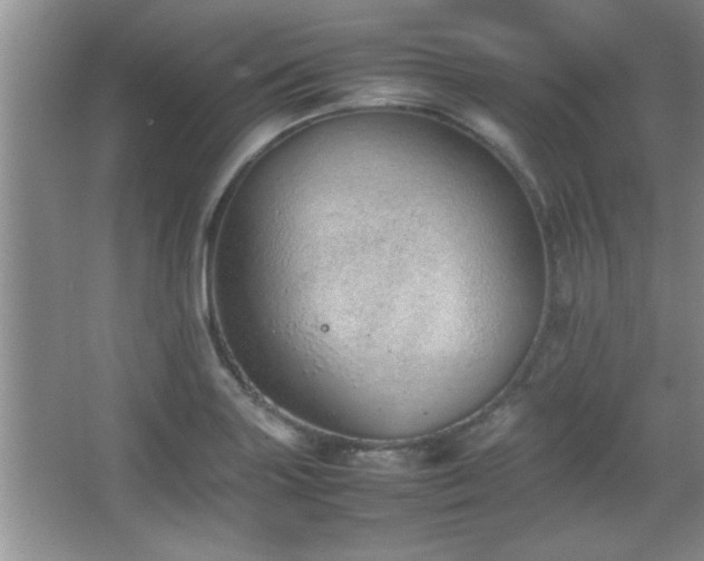 X0000067871227200604131227