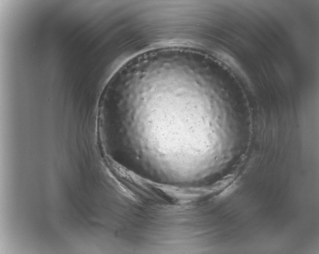 X0000067871228200604131227