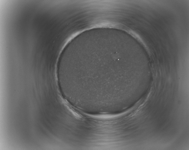 X0000067871230200604131227