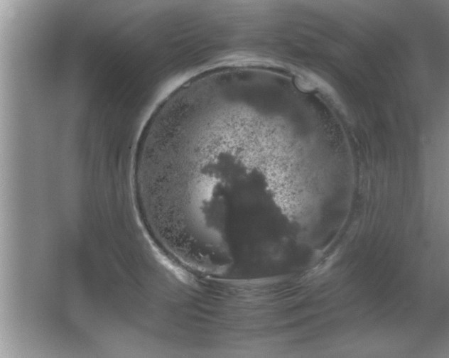 X0000067871231200604131227