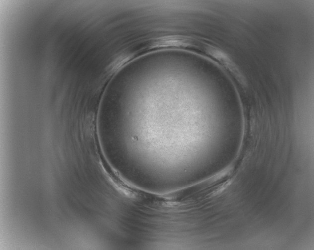 X0000067871233200604131228