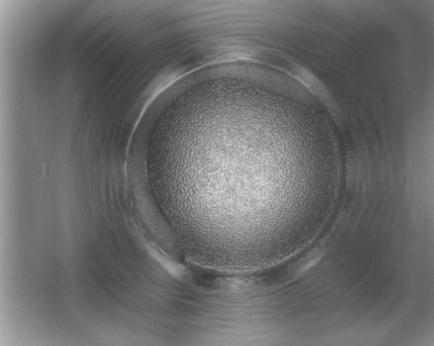 X0000067871234200604131228