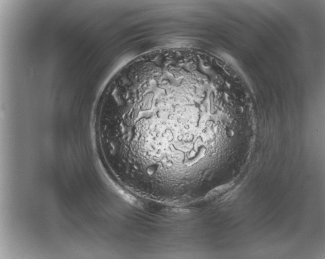 X0000067871235200604131228