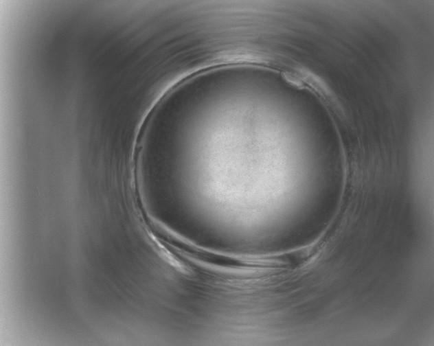 X0000067871236200604131228