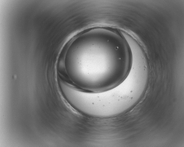 X0000067871238200604131228