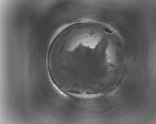 X0000067871239200604131228