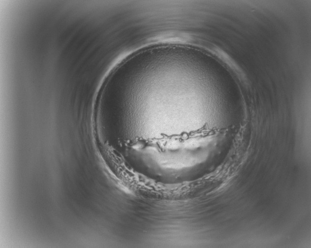 X0000067871240200604131228