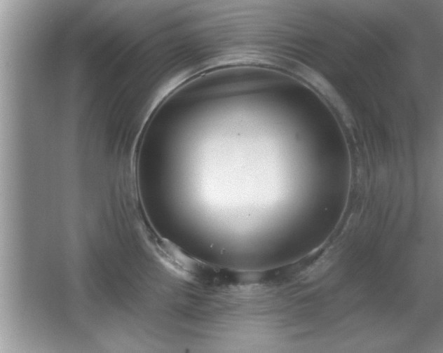 X0000067871242200604131228