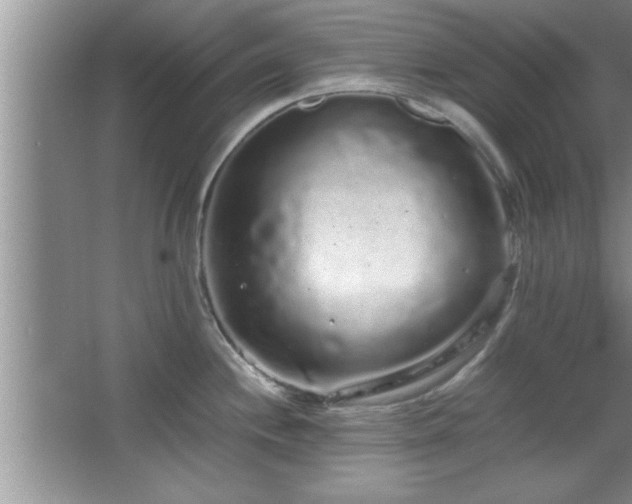 X0000067871244200604131228