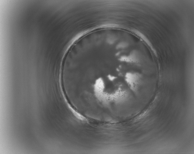 X0000067871245200604131228