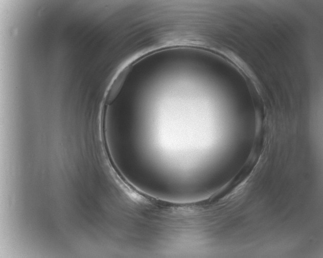 X0000067871246200604131228