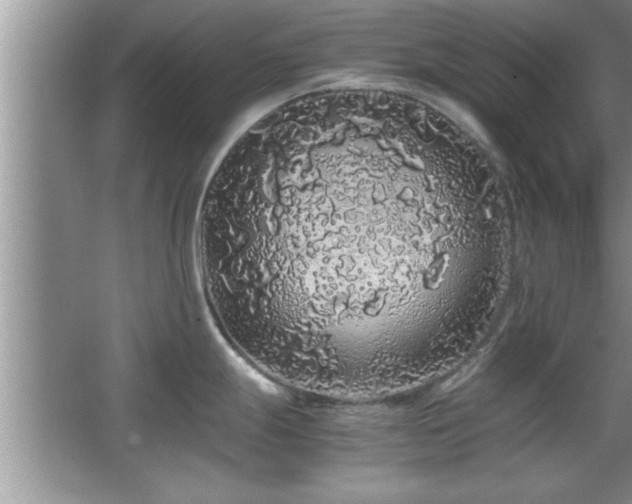 X0000067871247200604131228