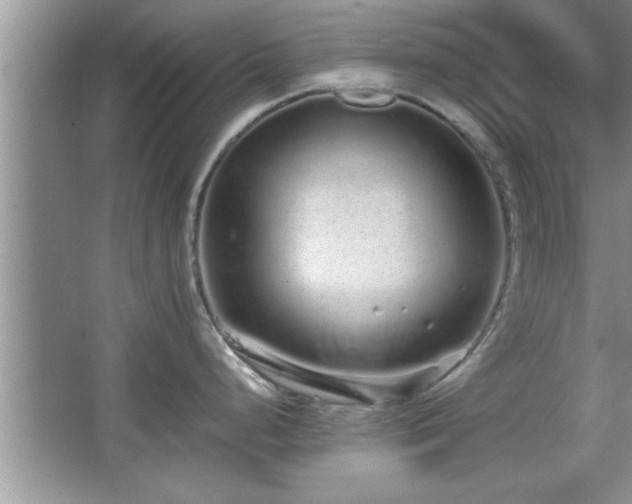 X0000067871248200604131228