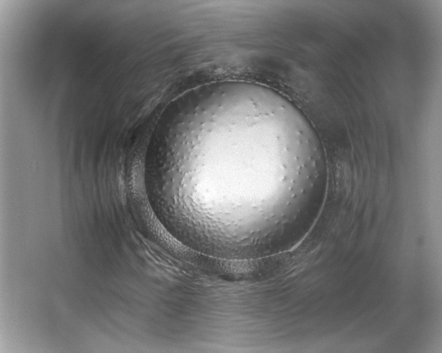 X0000067871250200604131227