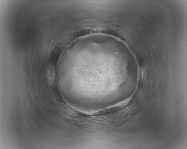 X0000067871251200604131227