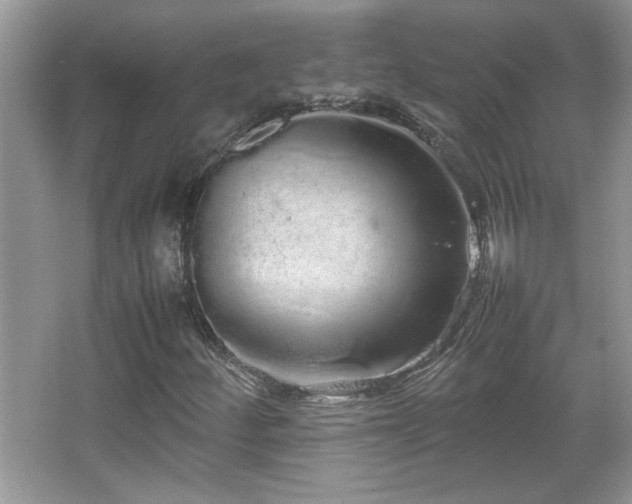 X0000067871252200604131227