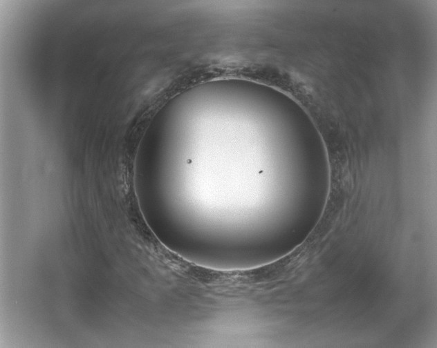 X0000067871253200604131227