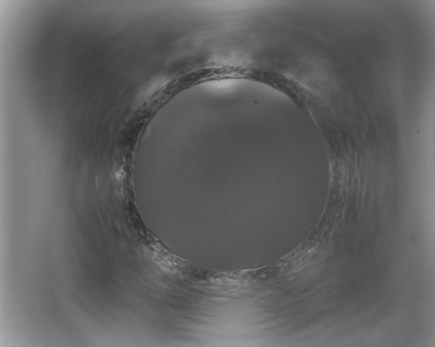 X0000067871254200604131227