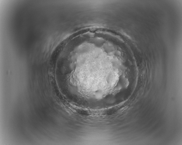 X0000067871255200604131227