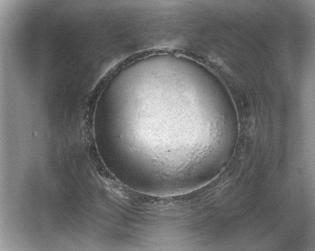 X0000067871256200604131227