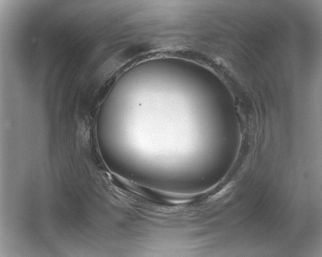 X0000067871257200604131227