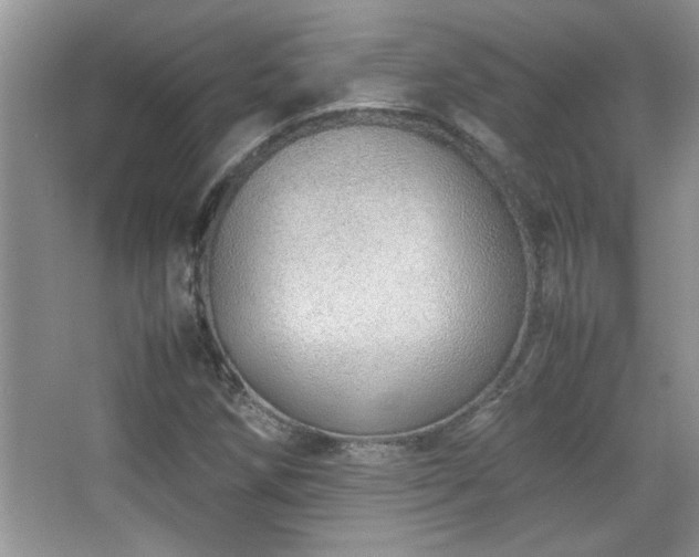 X0000067871258200604131227