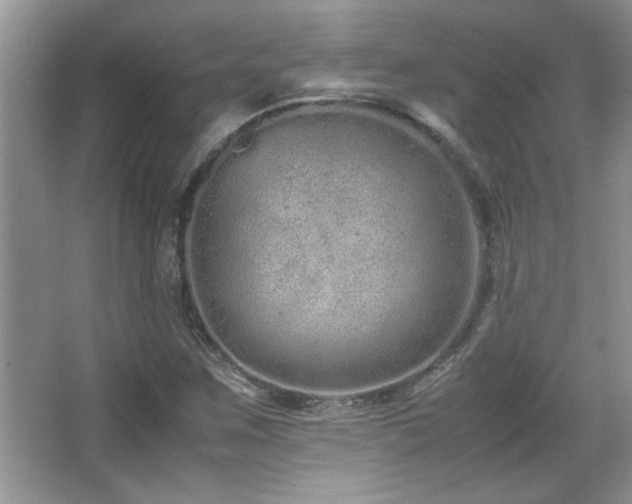 X0000067871259200604131227