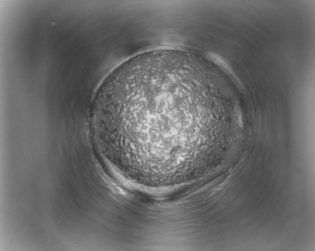 X0000067871260200604131227